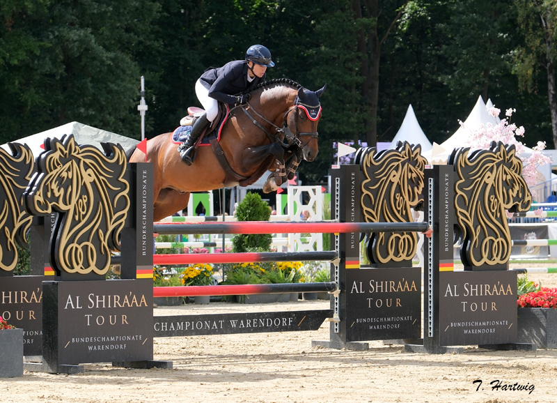 Arcassio A Fink Arcassio_T.H artwig